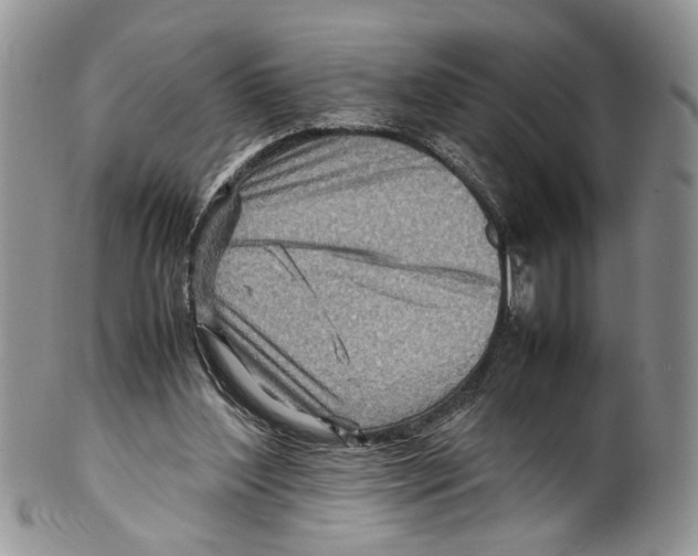 X0000099570204200806131303
