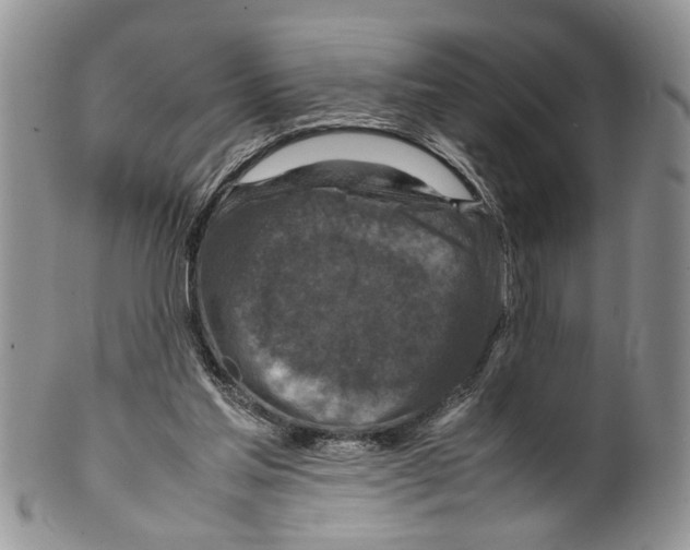 X0000099570205200806131303