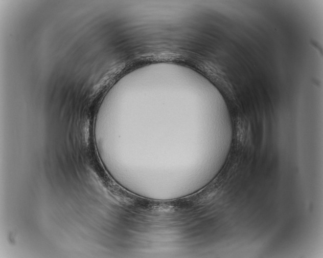 X0000099570206200806131303