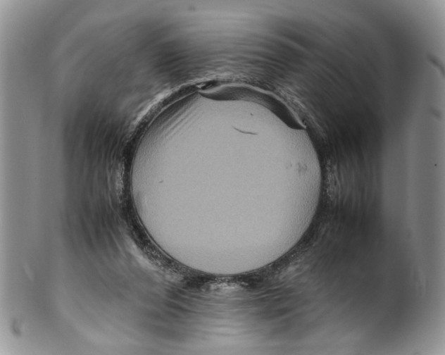 X0000099570208200806131303