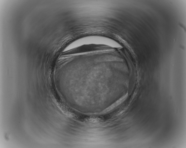 X0000099570209200806131303