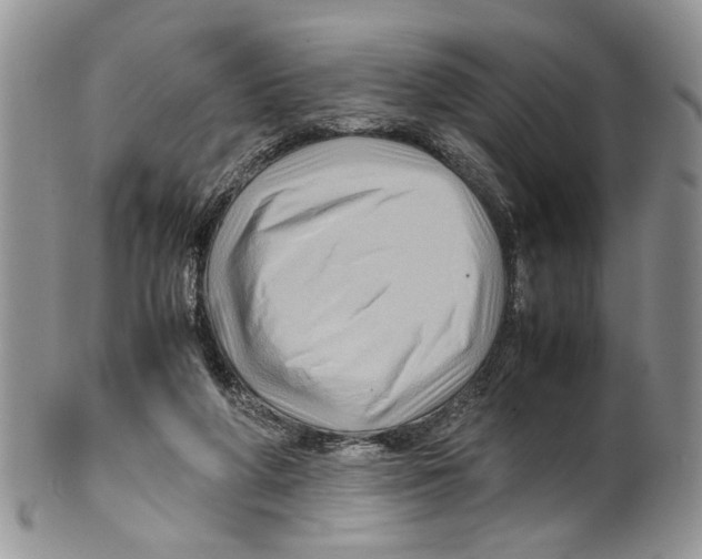 X0000099570210200806131303