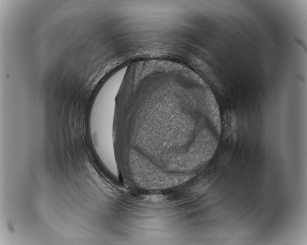 X0000099570212200806131303