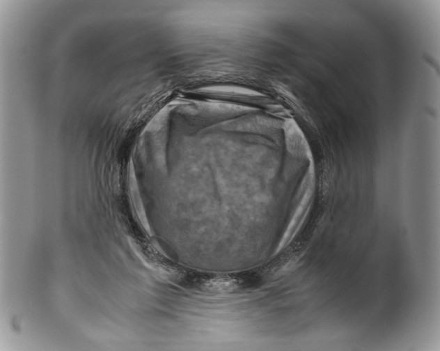 X0000099570213200806131303