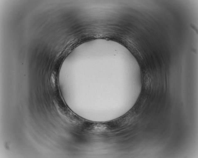 X0000099570214200806131303