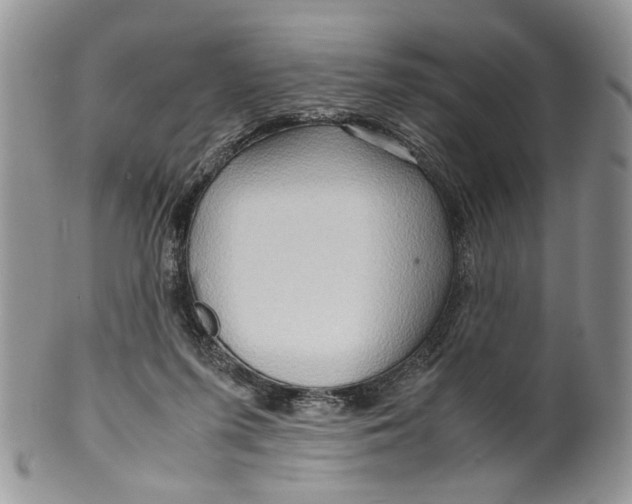 X0000099570215200806131303