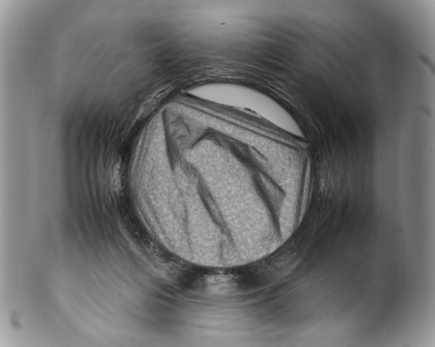 X0000099570216200806131303