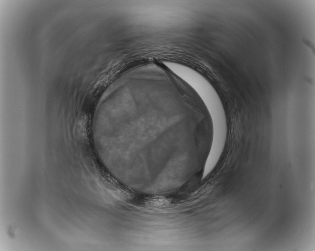 X0000099570217200806131303