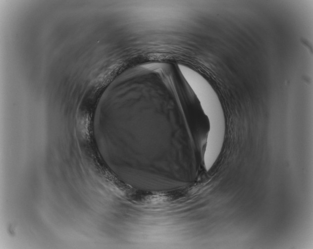 X0000099570219200806131303