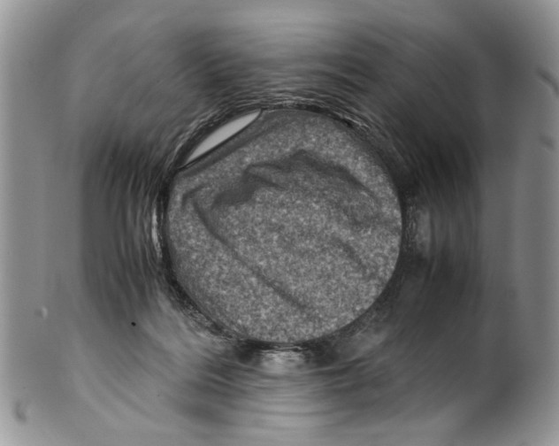 X0000099570220200806131303