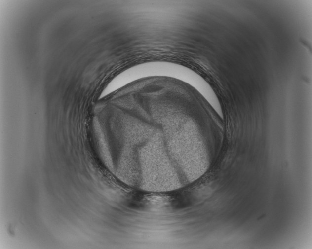X0000099570221200806131303