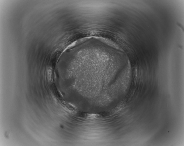 X0000099570222200806131303