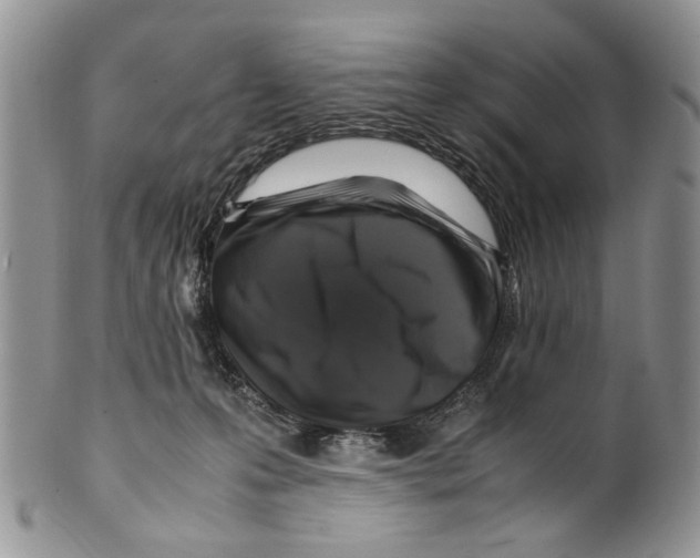 X0000099570223200806131303