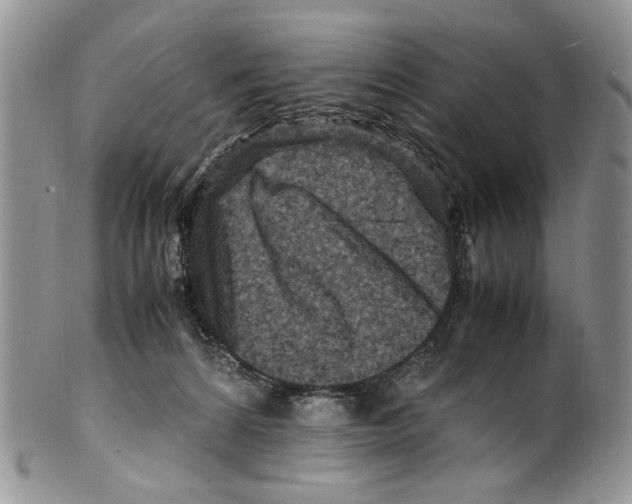 X0000099570224200806131303