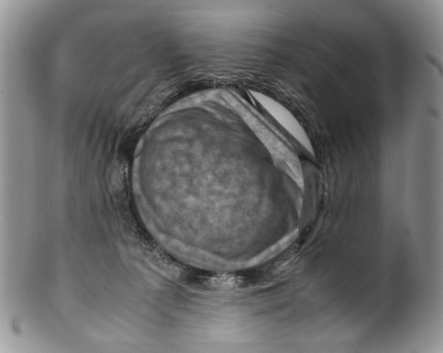 X0000099570225200806131303