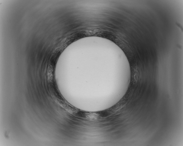 X0000099570226200806131303