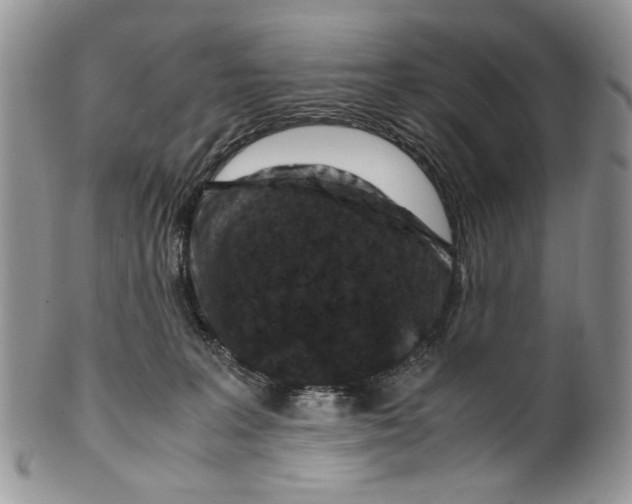 X0000099570227200806131303