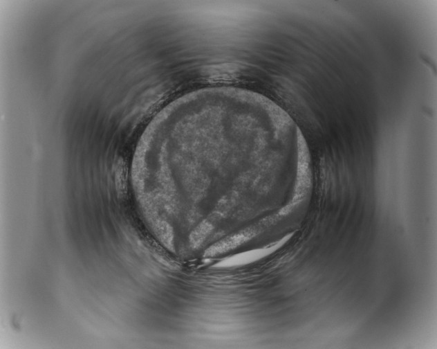 X0000099570228200806131303