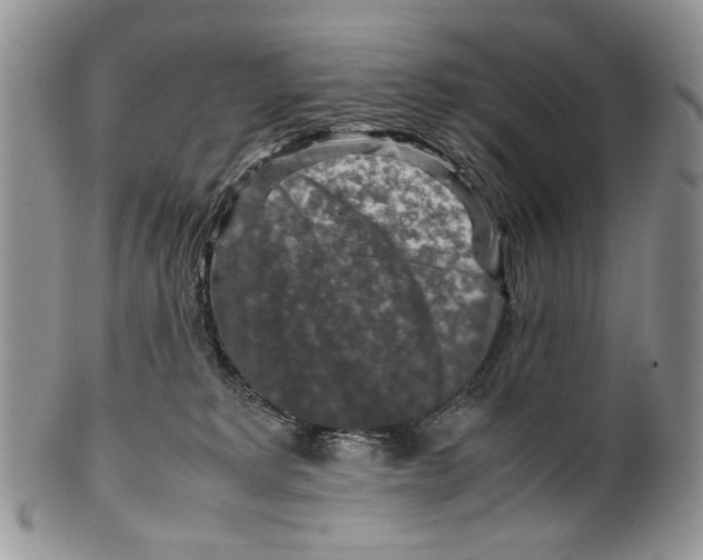 X0000099570229200806131303