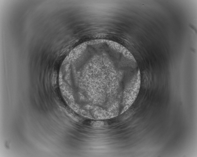 X0000099570230200806131303