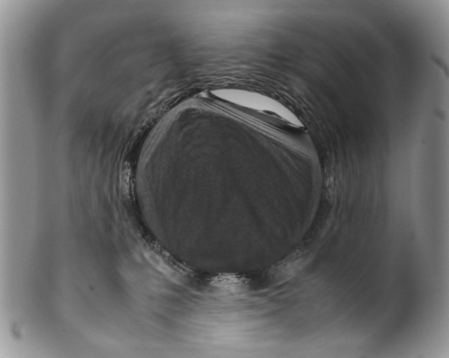 X0000099570231200806131303