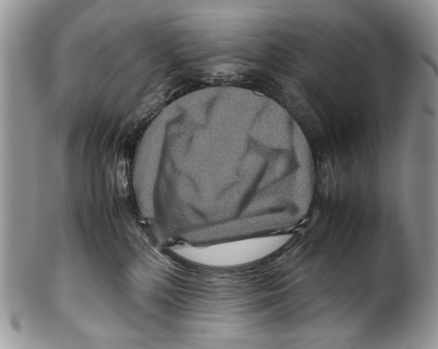 X0000099570232200806131303
