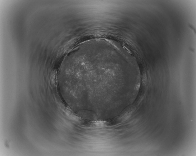 X0000099570233200806131303