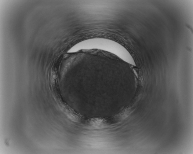 X0000099570235200806131303