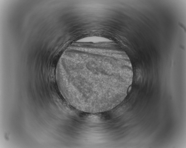 X0000099570236200806131303