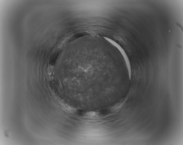 X0000099570237200806131303