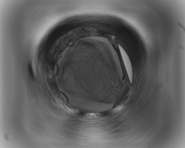 X0000099570239200806131303