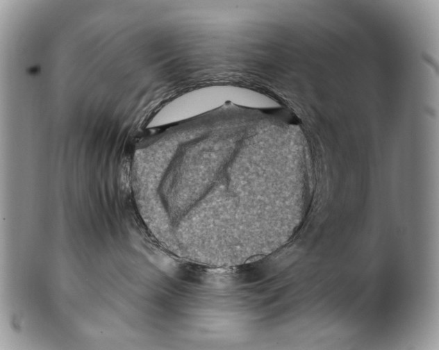 X0000099570240200806131303