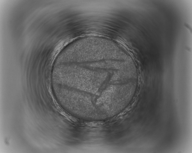 X0000099570241200806131302