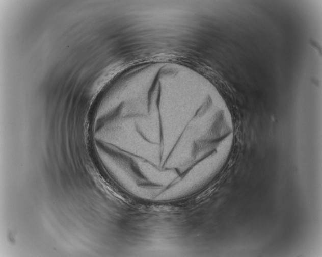 X0000099570242200806131302