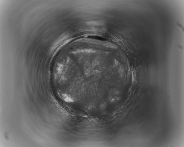 X0000099570243200806131302