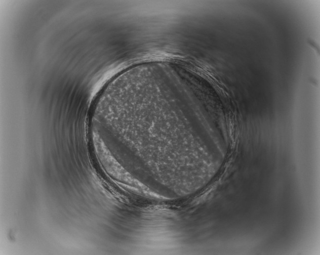 X0000099570244200806131302