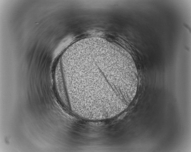 X0000099570245200806131302