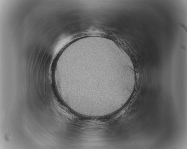 X0000099570246200806131302
