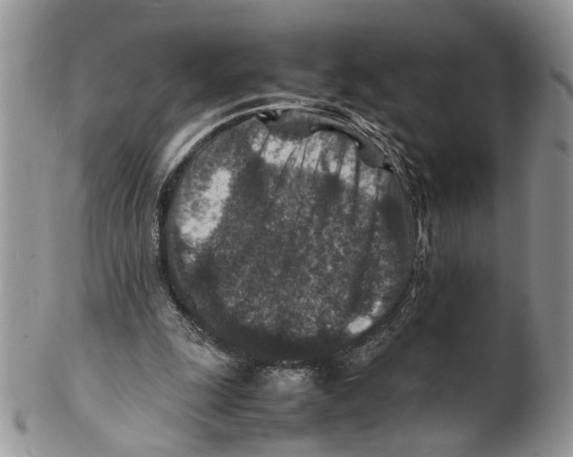 X0000099570247200806131302