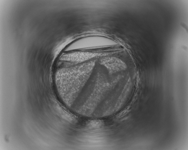 X0000099570248200806131302