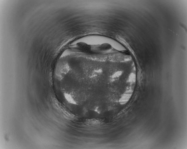 X0000099570249200806131302
