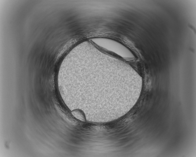 X0000099570250200806131302