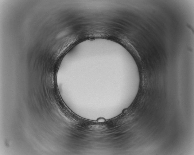 X0000099570251200806131302