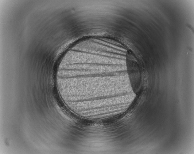 X0000099570252200806131302