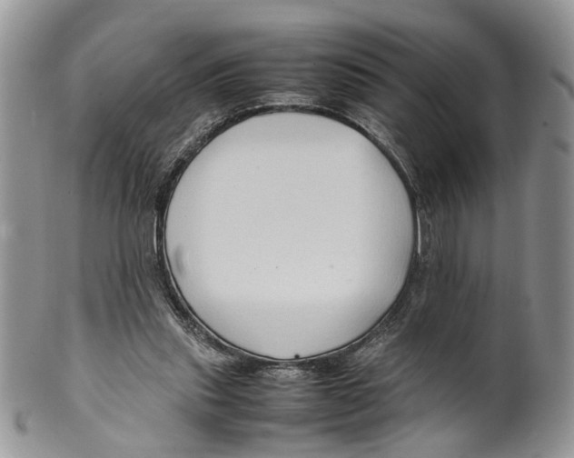X0000099570253200806131302