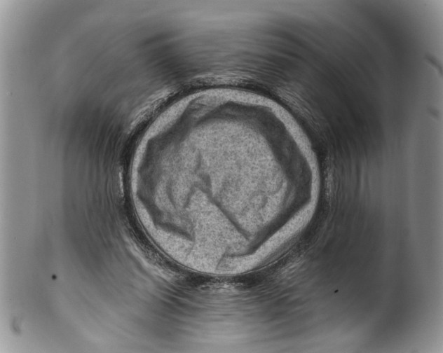 X0000099570254200806131302