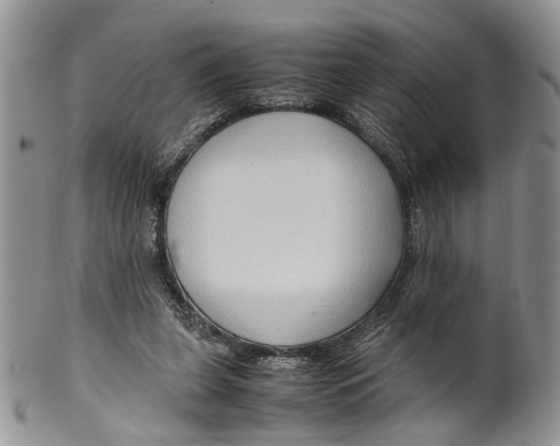 X0000099570255200806131302