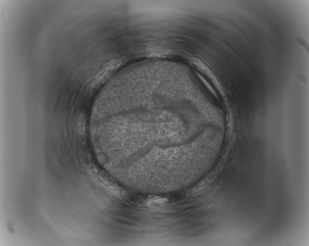 X0000099570257200806131302
