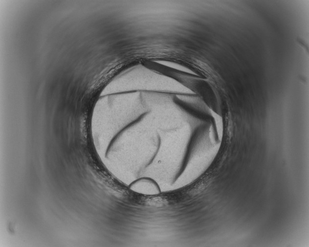 X0000099570258200806131302