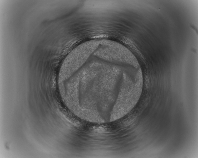X0000099570259200806131302